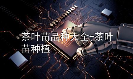 茶叶苗品种大全-茶叶苗种植
