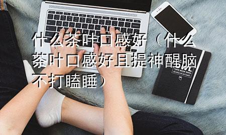 什么茶叶口感好(什么茶叶口感好且提神醒脑不打瞌睡)