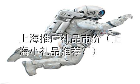 上海推广礼品市价(上海小礼品推荐?)