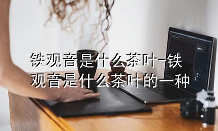 铁观音是什么茶叶-铁观音是什么茶叶的一种