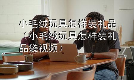 小毛绒玩具怎样装礼品(小毛绒玩具怎样装礼品袋视频)