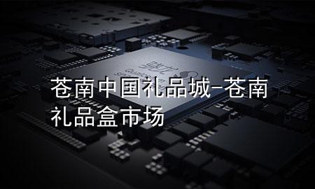苍南中国礼品城-苍南礼品盒市场