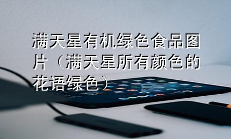 满天星有机绿色食品图片(满天星所有颜色的花语绿色)