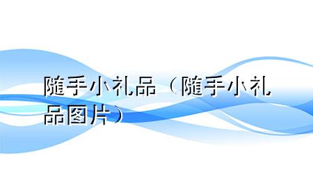 随手小礼品(随手小礼品图片)