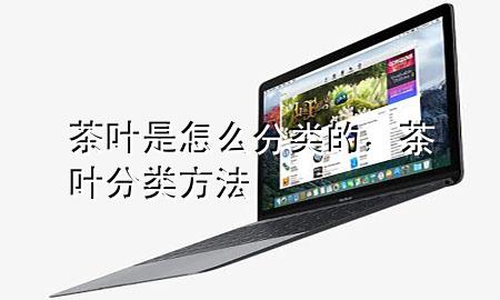 茶叶是怎么分类的,茶叶分类方法