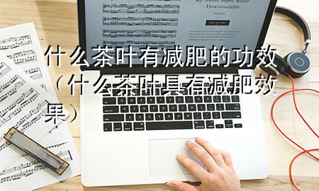 什么茶叶有减肥的功效(什么茶叶具有减肥效果)