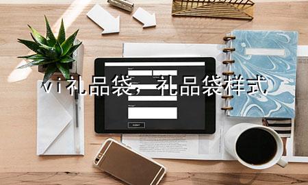 vi礼品袋,礼品袋样式