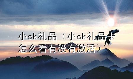 小ck礼品(小ck礼品卡怎么看有没有激活)