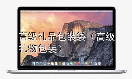 高级礼品包装袋(高级礼物包装)
