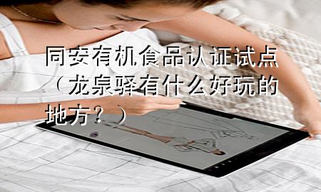 同安有机食品认证试点(龙泉驿有什么好玩的地方?)