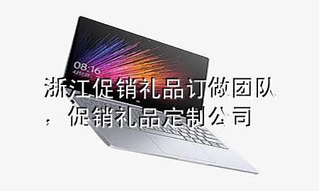 浙江促销礼品订做团队,促销礼品定制公司