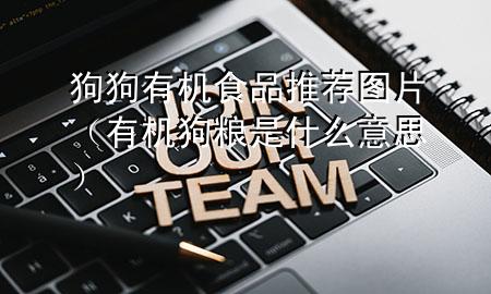 狗狗有机食品推荐图片(有机狗粮是什么意思)