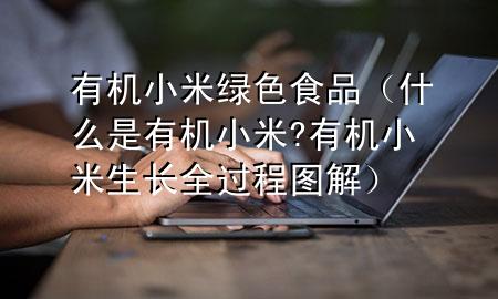 有机小米绿色食品(什么是有机小米?有机小米生长全过程图解)