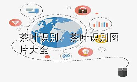 茶叶识别,茶叶识别图片大全