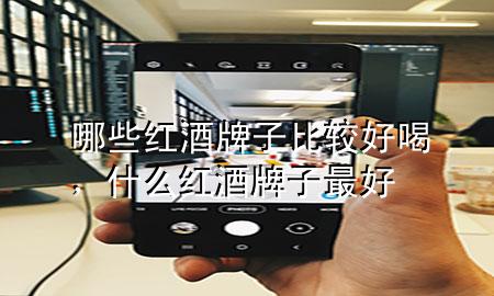 哪些红酒牌子比较好喝,什么红酒牌子最好