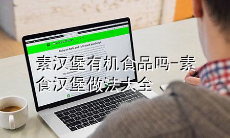 素汉堡有机食品吗-素食汉堡做法大全