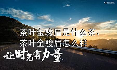 茶叶金骏眉是什么茶,茶叶金骏眉怎么样