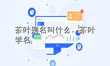 茶叶别名叫什么,茶叶学名