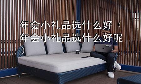 年会小礼品选什么好(年会小礼品选什么好呢)