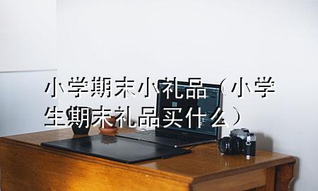 小学期末小礼品(小学生期末礼品买什么)