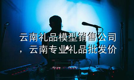 云南礼品模型销售公司,云南专业礼品批发价