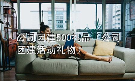 公司团建500礼品(公司团建活动礼物)