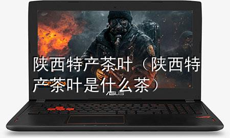 陕西特产茶叶(陕西特产茶叶是什么茶)