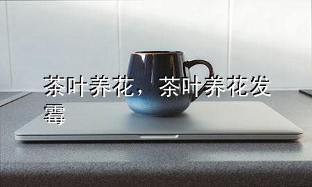 茶叶养花,茶叶养花发霉