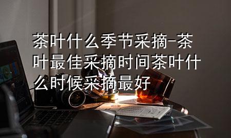 茶叶什么季节采摘-茶叶最佳采摘时间 茶叶什么时候采摘最好