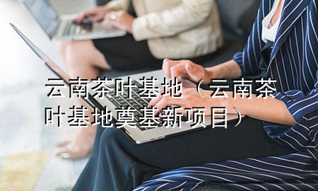 云南茶叶基地(云南茶叶基地奠基新项目)