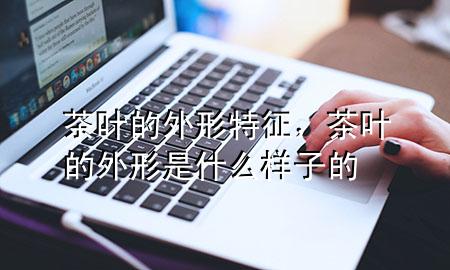 茶叶的外形特征,茶叶的外形是什么样子的