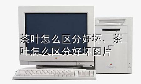 茶叶怎么区分好坏,茶叶怎么区分好坏图片