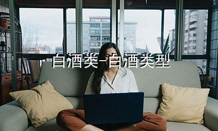 白酒类-白酒类型