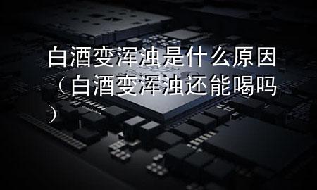 白酒变浑浊是什么原因(白酒变浑浊还能喝吗)