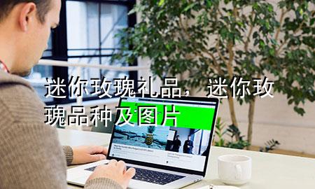迷你玫瑰礼品,迷你玫瑰品种及图片
