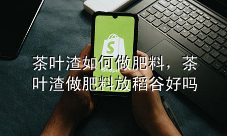 茶叶渣如何做肥料,茶叶渣做肥料 放 稻谷好吗