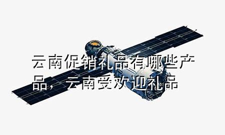 云南促销礼品有哪些产品,云南受欢迎礼品