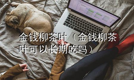 金钱柳茶叶(金钱柳茶叶可以长期吃吗)
