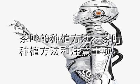 茶叶的种植方法,茶叶种植方法和注意事项