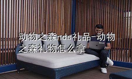 动物之森nds礼品-动物之森礼物怎么拿