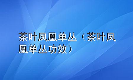 茶叶凤凰单丛(茶叶凤凰单丛功效)