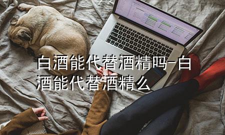 白酒能代替酒精吗-白酒能代替酒精么