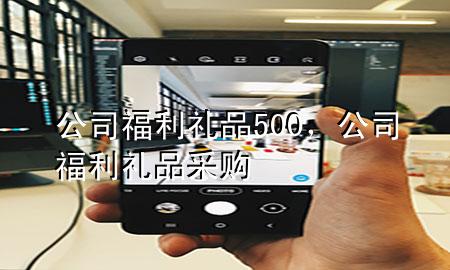 公司福利礼品500,公司福利礼品采购