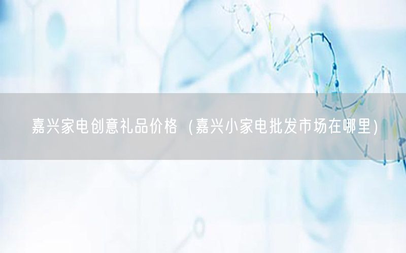 嘉兴家电创意礼品价格（嘉兴小家电批发市场在哪里）