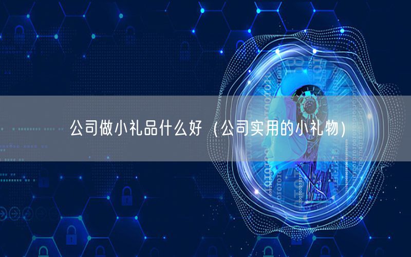 公司做小礼品什么好（公司实用的小礼物）