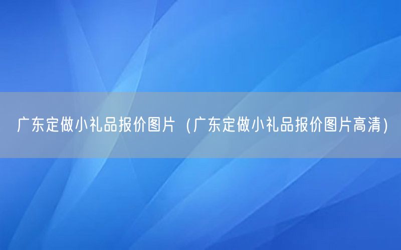 广东定做小礼品报价图片（广东定做小礼品报价图片高清）