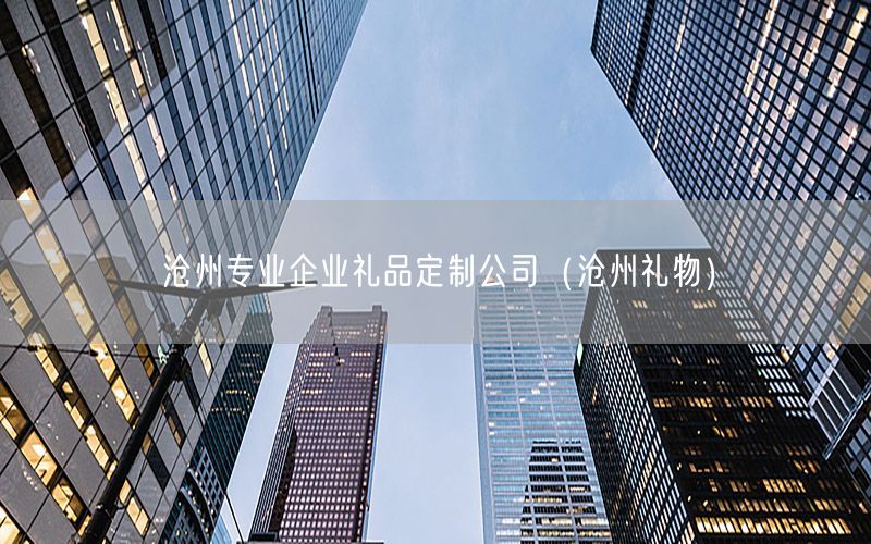 沧州专业企业礼品定制公司（沧州礼物）