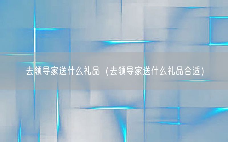去领导家送什么礼品（去领导家送什么礼品合适）