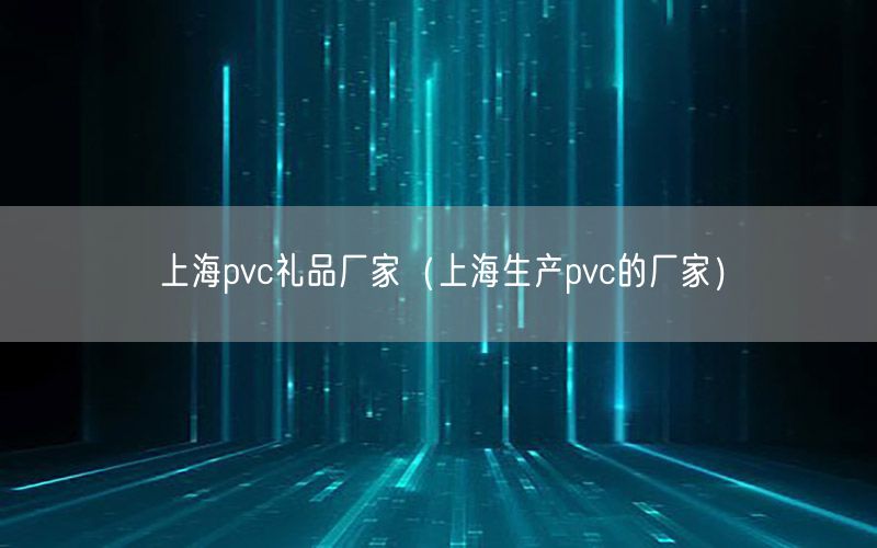 上海pvc礼品厂家（上海生产pvc的厂家）