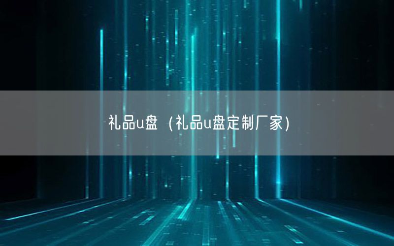 礼品u盘（礼品u盘定制厂家）